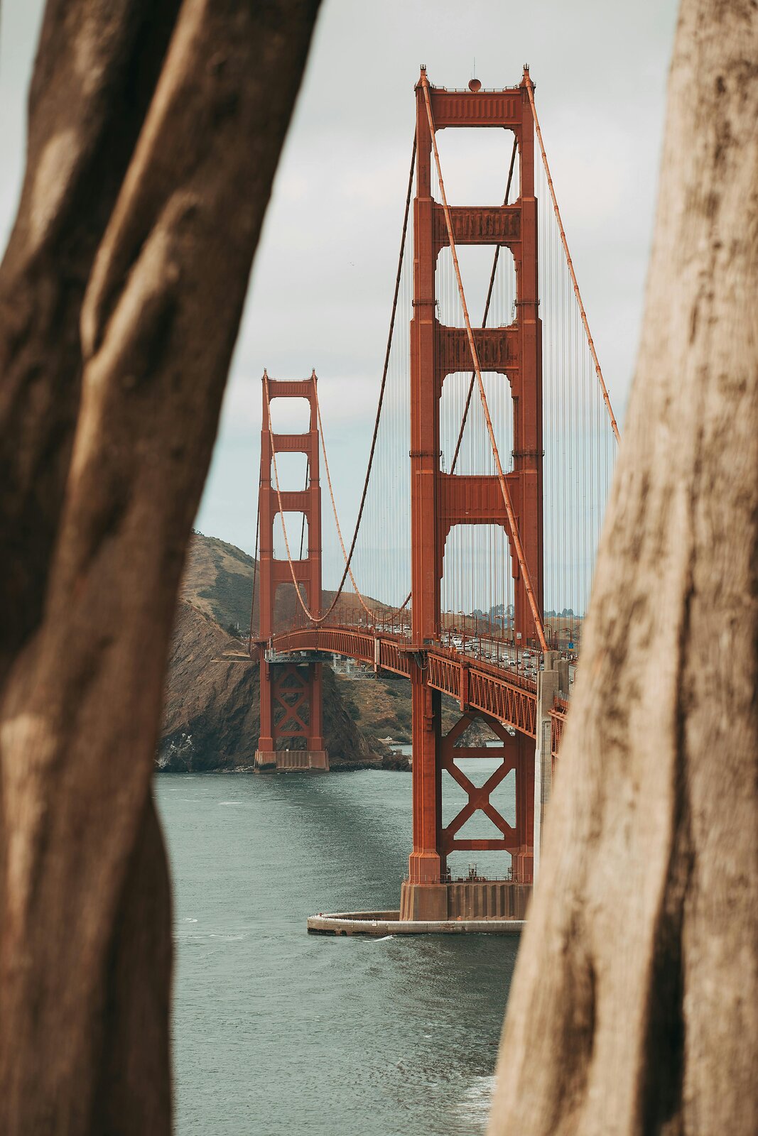 Golden Gate Bridge v San Francisku mezi rozostřenými kmeny stromů nad vodou